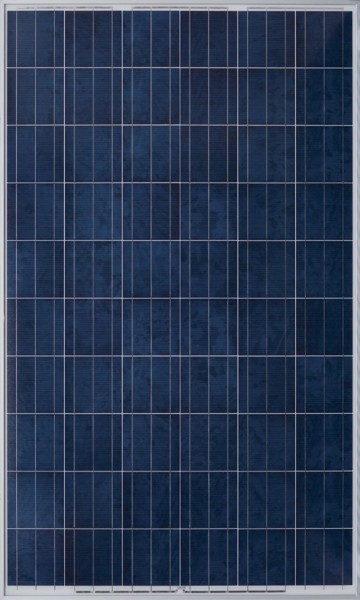Astronergy Solarmodul *ASM6610P* 265 Watt