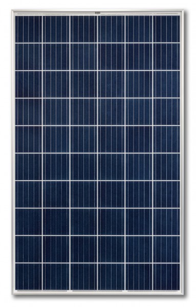Heckert Solarmodul *NeMo® 2.0 60 P 265 AR (A) [5BB]